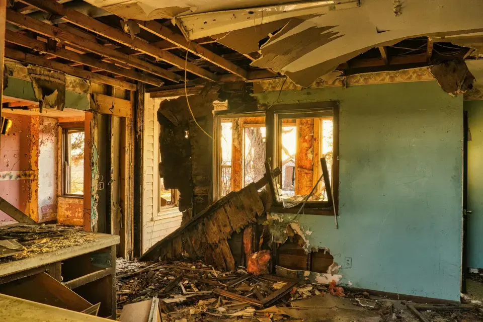 Leading Mold Removal Company in Smyrna, GA — Smyrna, GA
